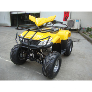 Новый дешевый 110cc ATV пластиковый корпус